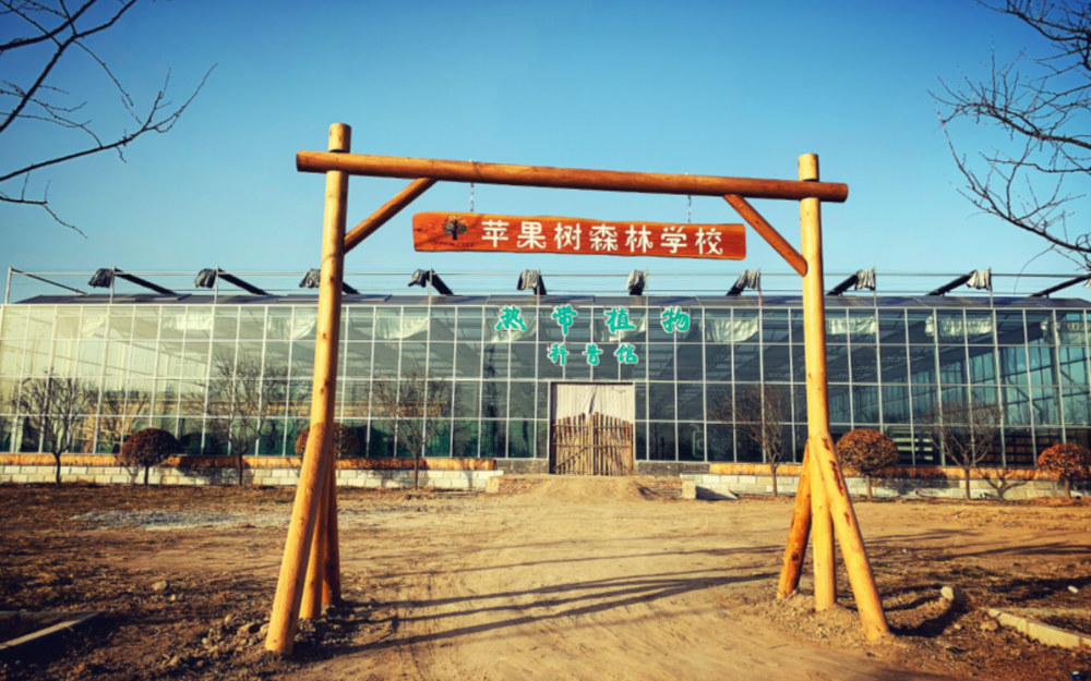 苹果树森林学校